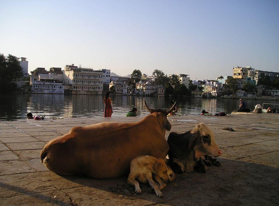 Diet in Hinduism