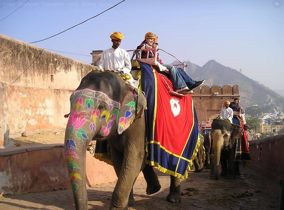 India animals symbols and meaning -elephant