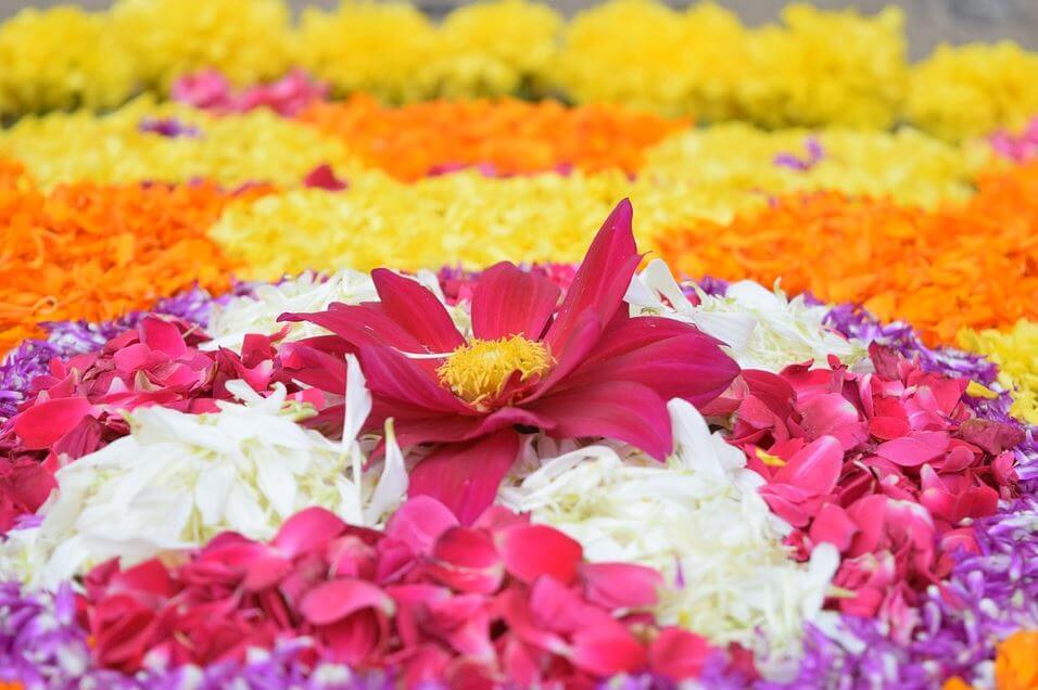 India holidays - Onam festival