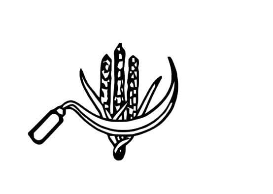 India parties symbols