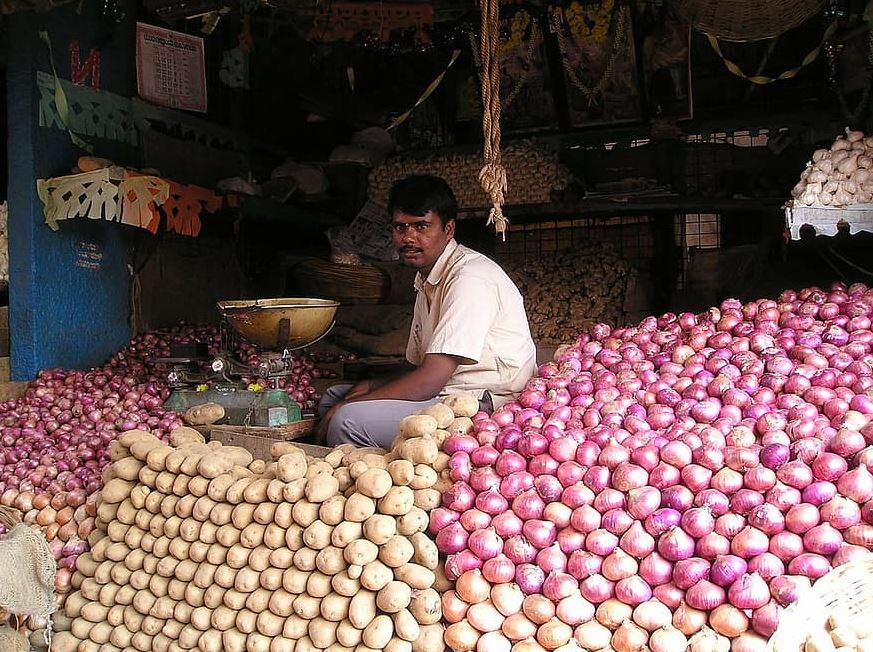 India symbols and meaning