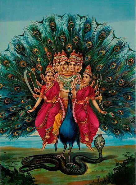 hindu lucky symbols Peacock