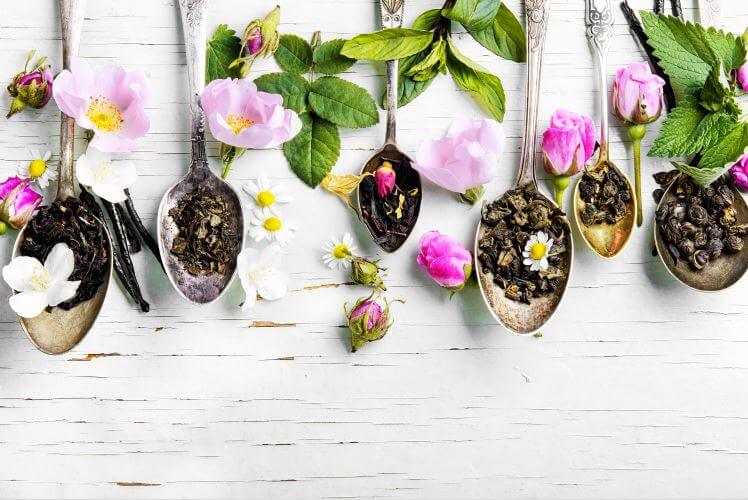 what is white tea good for